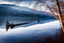 Beautiful, Calm, Westwood Lake In Nanaimo