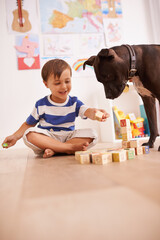 Sticker - They love playing together. A young boy playing with building blocks in his room while his dog watches.