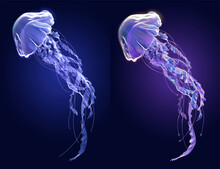 3d Surreal Jellyfish Element Set