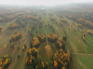 Aerial view of a circle of white birches in Pavlovsky Park, golden autumn, the tops of the trees are painted yellow, through the clouds, roads in the forest, long shadows from the trees.