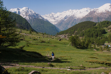 Wall Mural - A traveller hiking in a mountain, Italy