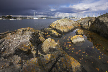 Canvas Print - The strong storm comes nearer