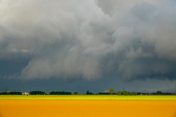 Poster - Beautiful landscape with the dramatic cloudy sky over ripening wheat field