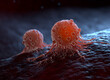 A migrating cancer cells