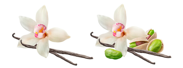 Wall Mural - vanilla flowers, pods and pistachio nuts set isolated on white background