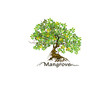 Mangrove tree vector illustrations, ready to print isolated on white background. realistic hand drawing.