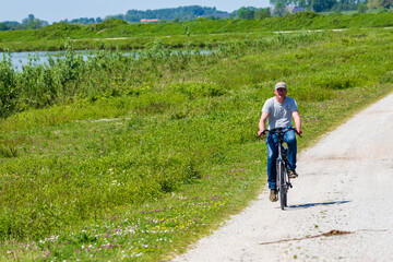 Canvas Print - Senior man cycling at island and nature reserve Tiengemeten Hoeksche Waard n South Holland in The neteherlands