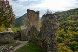 Fototapeta Kwiaty - Ruins of the ancient Ujarma fortress and autumnal Caucasian mountains covered forest on background, Kakheti region, Georgia