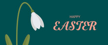 Snowdrop Galanthus Flower Background. Happy Easter, Vector