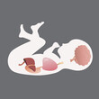 infant basic digestive diagram organs