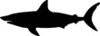 Black and white vector illustration of shark. Silhouette of a sea monster. Terrible bloodthirsty predator. A monster of the ocean depths