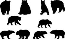 Bear Silhouettes PNG SVG EPS Bear Vector Bear Clipart
