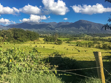 View To Valley With Green Cattle Pastures, Forest And Mountains In The Background On A Sunny Day, A Barbed Wire In Foreground, Villa De Leyva, Colombia
