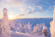 Sunrise over snowy forest and highlands in Lapland. Winter landscape in the morning.