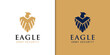 eagle shield logo design, phoenix vector emblem, bird falcon vector wings logo template