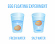 Vector illustration eggs floating in transparent glass of water isolated on white background. Egg float test infographic vector icons in flat cartoon style. Science Experiment in fresh and salt water.