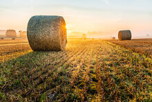 Hay Bales In A Field Near The Village Of Dobronice Near Bechyně In South Bohemia, Which Are Photographed At Sunrise