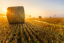 Hay Bales In A Field Near The Village Of Dobronice Near Bechyně In South Bohemia, Which Are Photographed At Sunrise