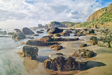 Wall Mural - beautiful shot of a seascape taken in maukatia bay, muriwai, auckland