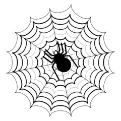 Spider and Web