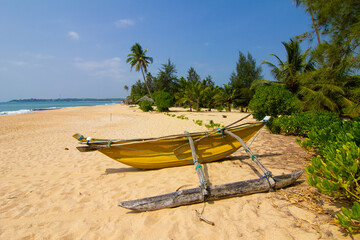 Poster - Untouched tropical beach with palms and fishing boats in Sri-Lanka