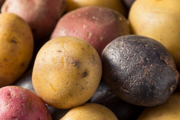 Poster - Raw Organic Baby Potatoes