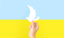 Stop war in Ukraine concept, pray of peace and Ukrainian flag