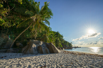 Wall Mural - sunset at tropical beach anse georgette on praslin on the seychelles