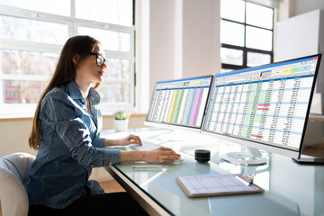 Poster - Analyst Employee Using Spreadsheet