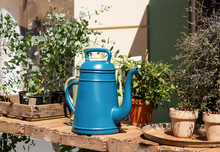 Blue Vintage Watering Can For Watering Home Plants In A Flower Shop. High Quality Photo