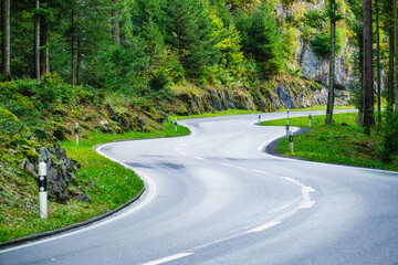 Wall Mural - a road in the middle of a summer forest. the road and the turns. travelling by transport. an asphalt