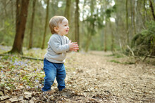 Adorable Toddler Boy Having Fun During A Hike In The Woods On Beautiful Sunny Spring Day. Active Family Leisure With Kids.