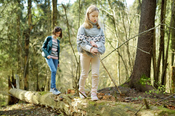 Adorable young sisters having fun during a hike in the woods on beautiful sunny spring day. Active family leisure with kids.