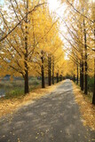 Fototapeta Natura - autumn landscape