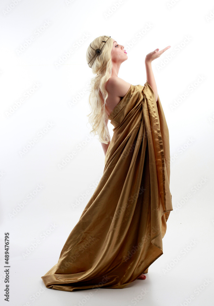 elegant toga dress VERDAVAINNE - 1054 main image 1