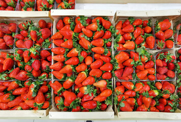 strawberries in the crate of greengrocer shop super market