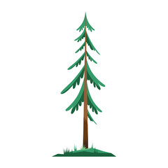 Sticker - pine tree plant