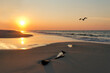 Beach, Pelican, Gulf of Mexico, Alabama, Gulf Shores, sunrise, log, driftwood, coast, sea, sandy, shines, reflection, waves, surf, seascape, landscape, nature, scenic, sunshine, rising, morning, dawn,
