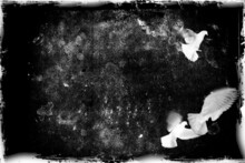 Monochrome Landscape With Flying Doves On Black Grunge Background. Texture Of Old Paper. Black And White Illustration