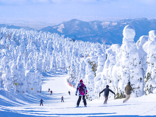 Wall Mural - People racing down in a slope through the snow monsters (soft rime). (Zao-onsen ski resort, Yamagata, Japan)