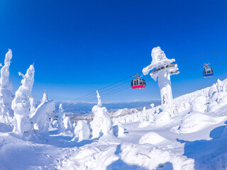 Wall Mural - Snow monsters (soft rime) with cable cars behind (Zao-onsen ski resort, Yamagata, Japan)