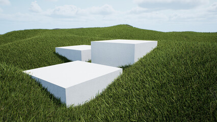 Poster - Podium among a field covered with grass under a beautiful sunny sky - 3D rendering