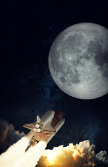 Wall Mural - space shuttle takes off to the moon. elements of this image furnished by nasa.
