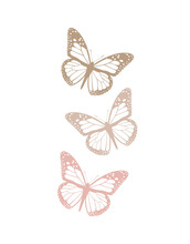 Simple Hand Drawn Vector Illustrations With Three Pastel Pink And Light Brown Butterfies. Elegant Vector Print Ideal For Wall Art, Poster, Card. Delicate Butterflies Isolated On A White Background.
