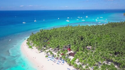 Wall Mural - Aerial view of Saona Island in Dominican Republuc. Caribbean Sea with clear blue water and green palms. Tropical beach. The best beach in the world.