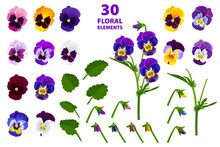 Set Of Pansies Flowers Blue, Yellow, White, Purple, Orange, Leaves, Branches Isolated On A White Background. Vector Image Pansy Flowers.