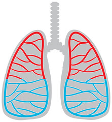 Canvas Print - Human lungs icon on white background