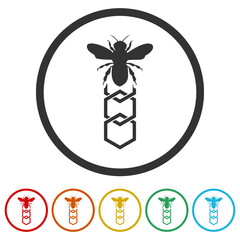 Poster - Bee and honeycomb ring icon, color set