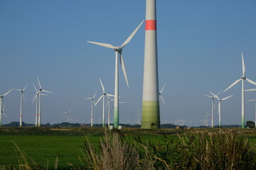 Wall Mural - FU 2020-08-11 Fries T2 1341 Auf der Wiese stehen Windräder