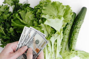 Top view hands holding money counting hundred dollar bills and lettuce leaves, cucumbers on white table indoors. Price for eco vegetables, buying healthy organic food, shopping concept